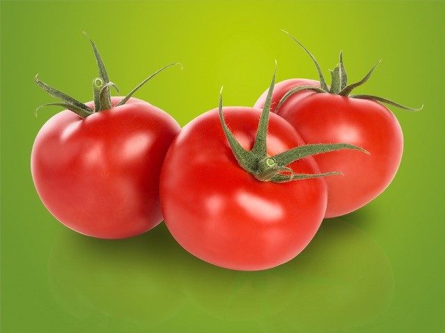 高抗番茄