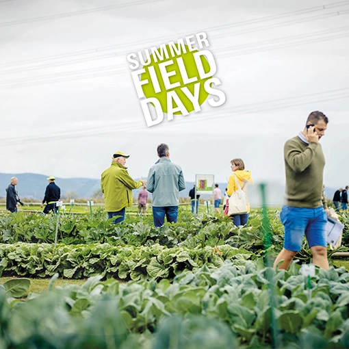 summer field day