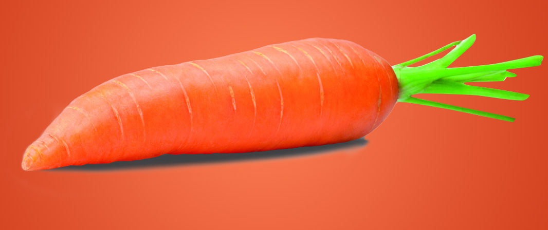 carrot