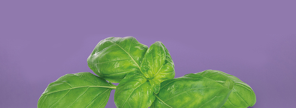 Inspiring marketing concepts