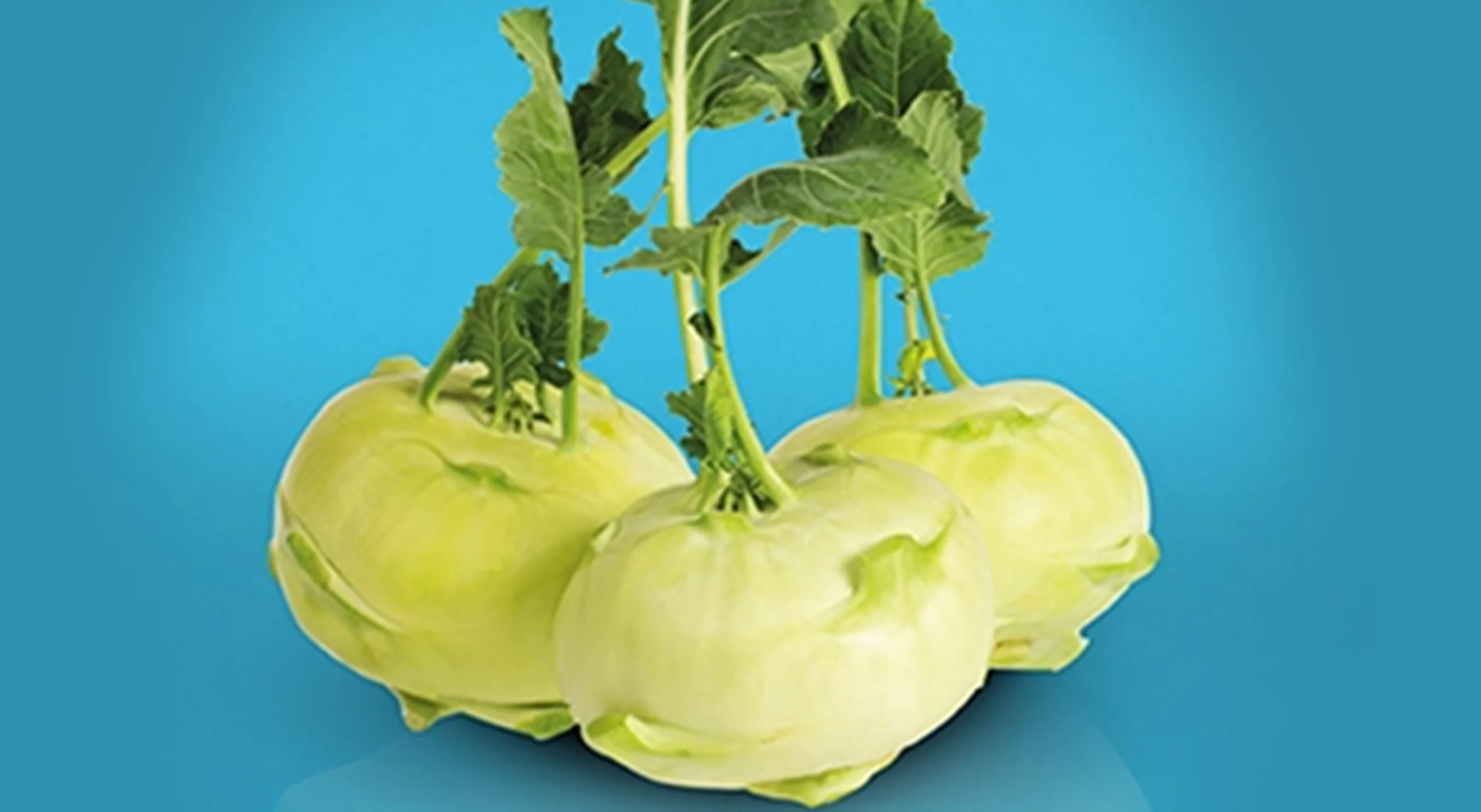 Kohlrabi